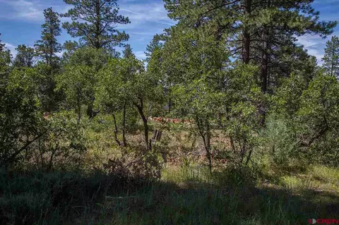 101 Engine Creek Trl, Durango, CO 81301 photo 1