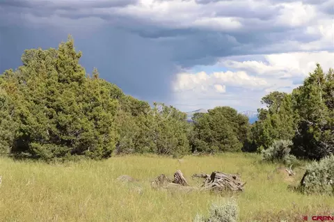 tbd 2550 Rd, Cedaredge, CO 81416 photo 1