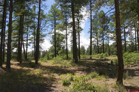 108 Calico Trl, Durango, CO 81301 photo 1