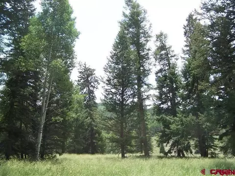 744 Deer Trl, Cimarron, CO 81220 photo 1