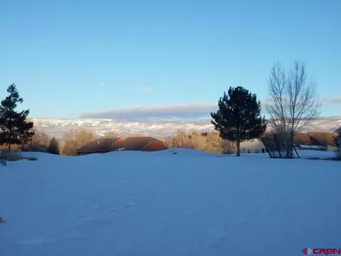 1030 SE Deer Creek Dr, Cedaredge, CO 81413 photo 1