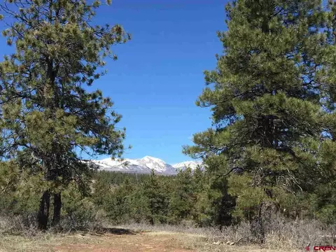 60 Shenandoah Cir, Durango, CO 81303 photo 1