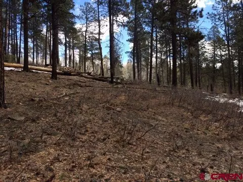 125 Sunny Ln, Durango, CO 81301 photo 1