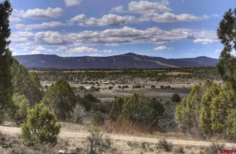 780 Salt Creek Rd, Ignacio, CO 81137 photo 1