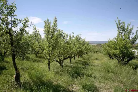 1530 Cr 513, Ignacio, CO 81137 photo 1