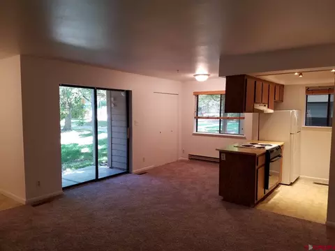 1200 Florida Rd #3, Durango, CO 81301 photo 1