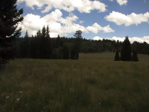 150 Balsam Rd, Cimarron, CO 81220 photo 1