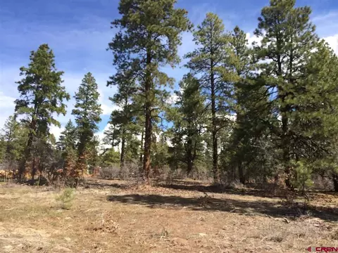 357 Engine Creek Trl, Durango, CO 81301 photo 1