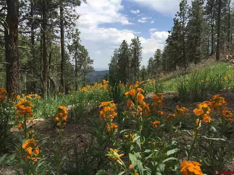 1347 Silver Mesa Dr, Durango, CO 81301 photo 1