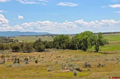 3989 County Road 510, Ignacio, CO 81137 photo 1
