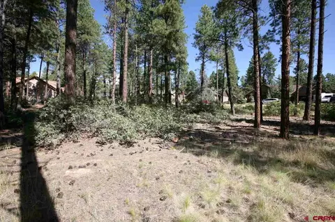 55 Big Bend Ct, Durango, CO 81301 photo 1