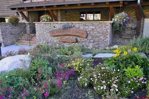 9 Hunter Hill Rd #201, Mount Crested Butte, CO 81225 photo 1