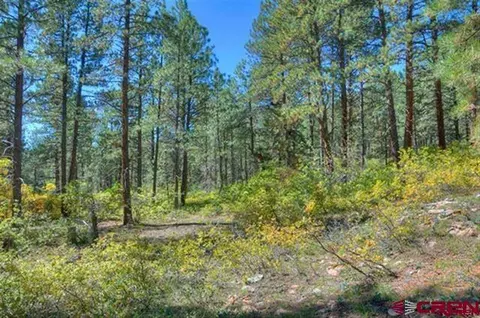 804 W Los Ranchitos, Durango, CO 81301 photo 1