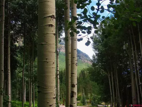 73 Wildrose Cir, Durango, CO 81301 photo 1