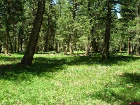 790 Crest, Cimarron, CO 81220 photo 1