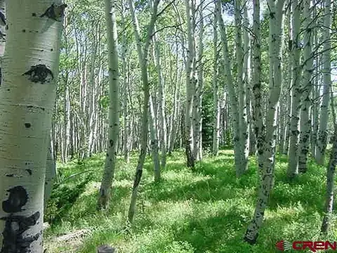 1206 Hazel Lake Dr, Cimarron, CO 81220 photo 1