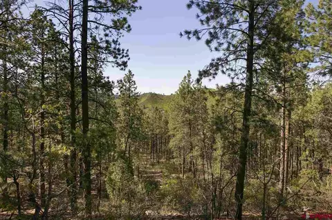 116 Cabin Creek Dr, Durango, CO 81301 photo 1