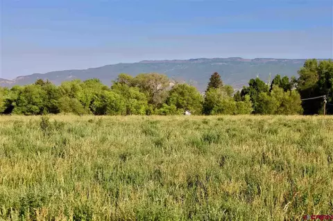 21720 North Rd, Eckert, CO 81410 photo 1