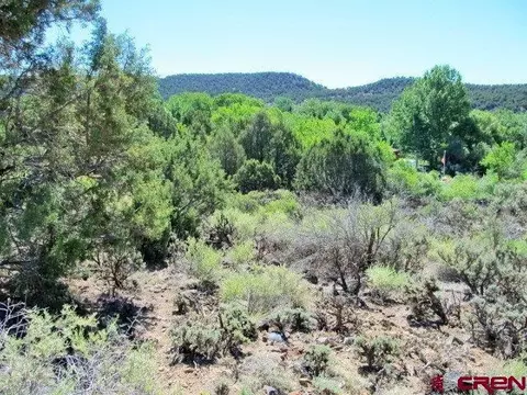 1570 SE 3rd St, Cedaredge, CO 81413 photo 1