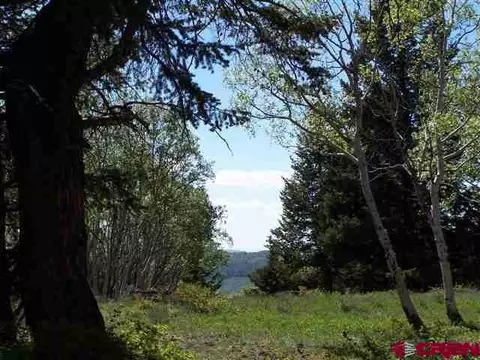 161 Ridge Rd, Cimarron, CO 81220 photo 1