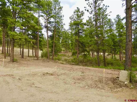 144 Bell Flower Ct, Durango, CO 81301 photo 1