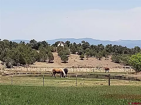 8413 County Road 334, Ignacio, CO 81137 photo 1
