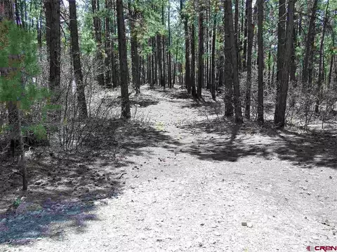 486 Timber Dr, Bayfield, CO 81122 photo 1