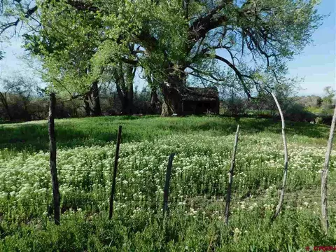 1439 W Main St, Cedaredge, CO 81416 photo 1