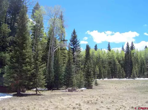 2120 Spruce Rd, Cimarron, CO 81220 photo 1