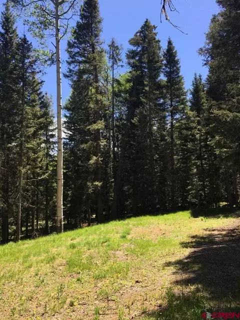 385 Aspen Trl, Cimarron, CO 81220 photo 1