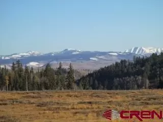2221 Spruce Rd, Cimarron, CO 81220 photo 1