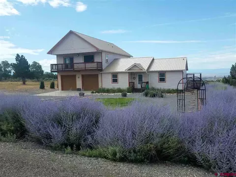 25162 Ira Way, Cedaredge, CO 81413 photo 1