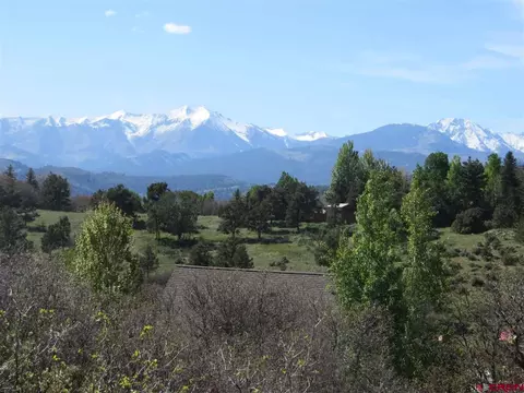 21 Lizard Head, Durango, CO 81301 photo 1