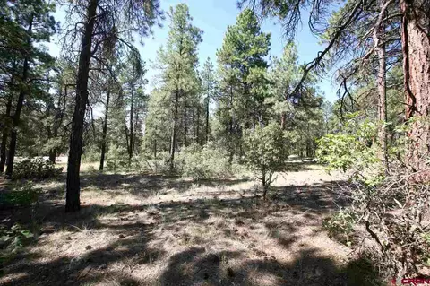 47 Kenosha Trl, Durango, CO 81301 photo 1