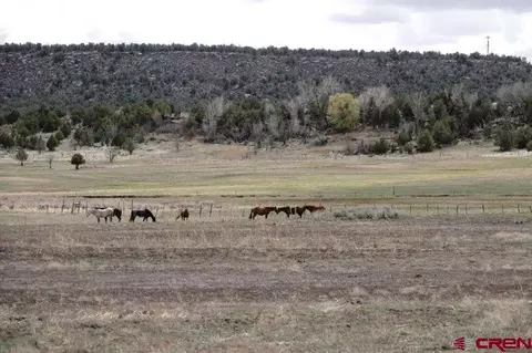 1342 County Road 332, Ignacio, CO 81137 photo 1