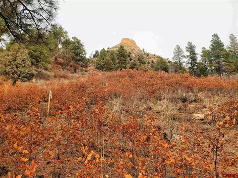 48 Sego Lily Ct, Durango, CO 81301 photo 1