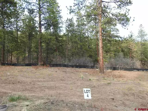 53 Canyon Pines Pl, Durango, CO 81301 photo 1