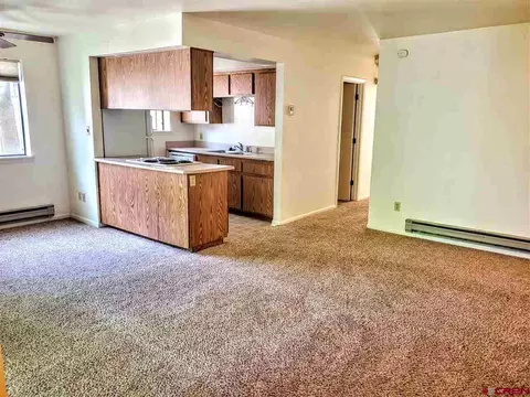1200 Florida Rd #43, Durango, CO 81301 photo 1