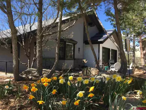 41 Lewis Mountain Ln, Durango, CO 81301 photo 1