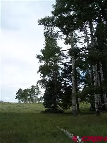 680 Crest, Cimarron, CO 81220 photo 1