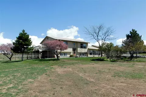 25191 Ira Way, Cedaredge, CO 81413 photo 1