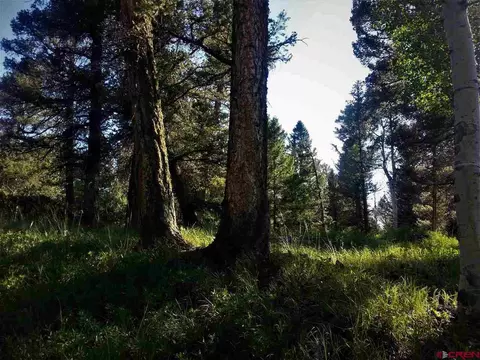 463 Ute Dr, Cimarron, CO 81220 photo 1