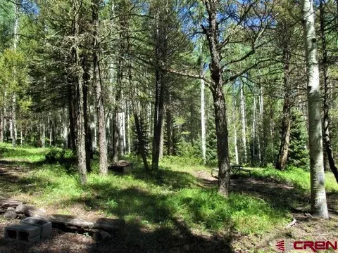 293 Crest Dr, Cimarron, CO 81220 photo 1