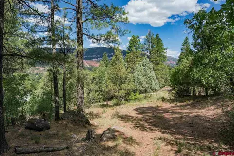 tbd County Road 250, Durango, CO 81301 photo 1