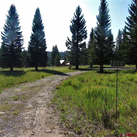 110 Balsam Rd, Cimarron, CO 81220 photo 1
