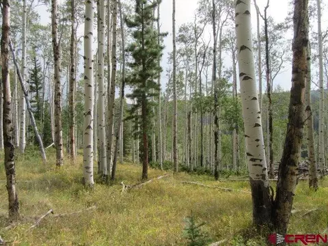 1721 Spruce Rd, Cimarron, CO 81220 photo 1