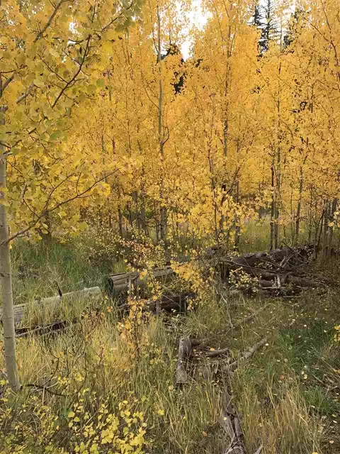 13705 County Road 240, Durango, CO 81301 photo 1