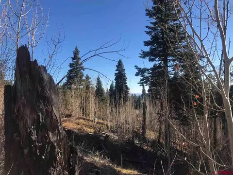 1125 Rosalie Dr, Durango, CO 81301 photo 1