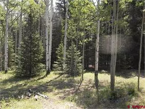 191 Lake Dr, Cimarron, CO 81220 photo 1