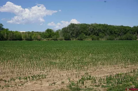 Lot 1 5600 Road, Olathe, CO 81425